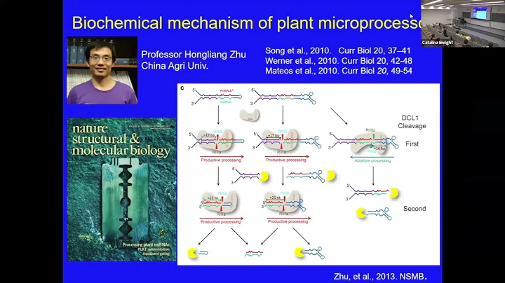 Xiuren Zhang: Regulation of miRNA production in pl...