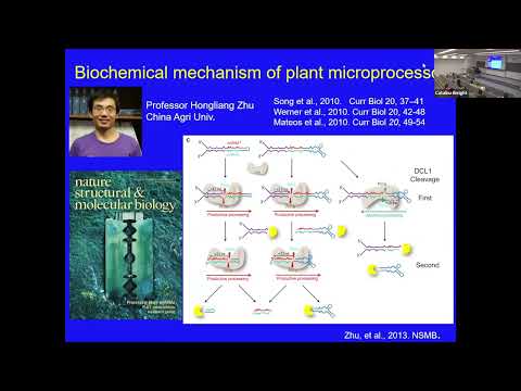 Video: Under fotorespiration binder rubisco sig med?