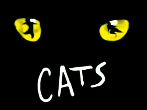 Video: Come Dare Un Nome A Un Gatto