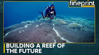 Philippines divers preserve coral reefs | WION Fineprint
