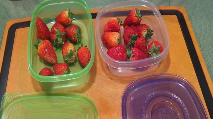 Debbie Meyer's UltraLight GreenBoxes - Product Rev...