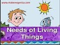 Essential Needs of Living Things in Our World