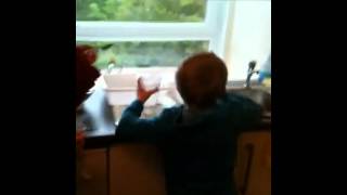 7 year old fails cinnamon challenge