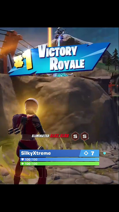 Exotic Double Pump #fortnite #battleroyale #victory #chapter6