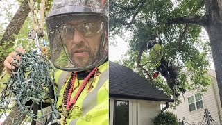Removing Xmas 🎄 Lights From Trees 🌲🌳 | SRT Climbing