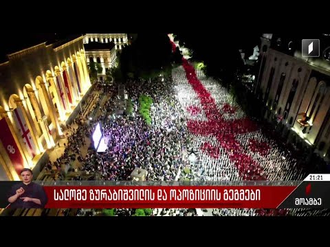 სალომე ზურაბიშვილის და ოპოზიციის გეგმები