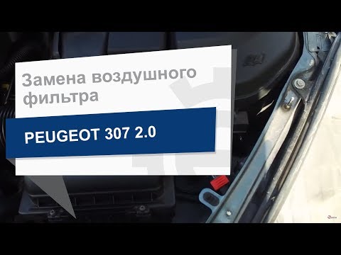 Замена воздушного фильтра WIX WA9526 на Peugeot 307