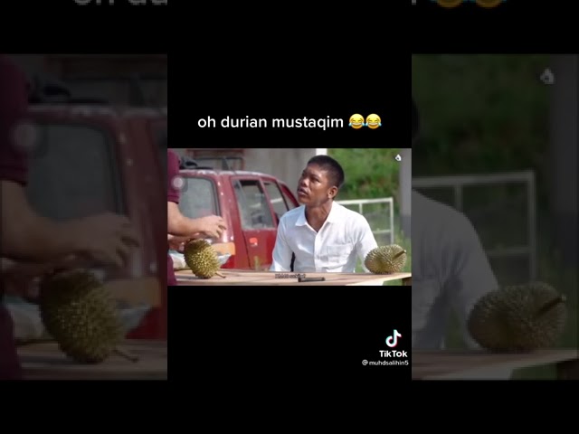 Durian mustaqim viral, harga yahudi !! Berapa harga?? class=