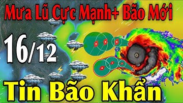 Mưa Lũ Cực Mạnh Bão Mới Tin Bão Khẩn | Dự báo thời tiết ngày 16/12 | thời tiết 15 ngày Tới