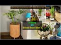 3 DIY Home Decor Ideas you can easily DIY at Home | Best out of Waste | Organizopedia