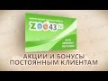 Магазин для лучших друзей - zoo43.ru -1