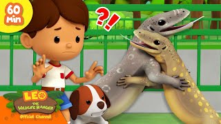 EXCITING ANIMAL FIGHTS!  Reptiles, Insects & more!  | Leo the Wildlife Ranger | Kids Cartoons