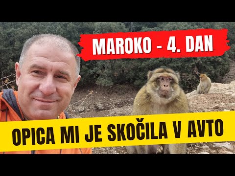 Video: Komercialno Posojilo: Pogoji, Obrazci, Obrestne Mere