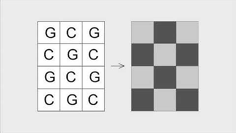 Visual DNA - entropy1