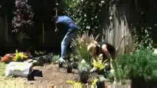 FLV Test