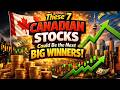 These 7 Canadian Stocks Could Be the Next Big Winners