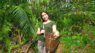 Dania Gadis Dayak, Pulang Kampung Rindu Makan Sayur Hutan