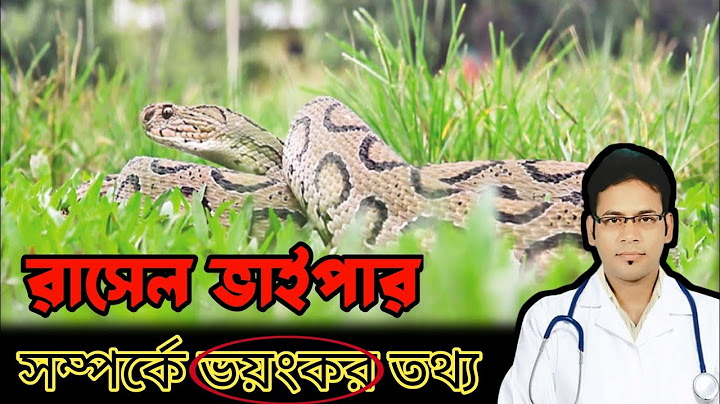 রাসেল ভাইপার সাপ আসলে কতটা ভয়ঙ্কর ? Russel's Viper Snake | রহস্যময় মায়াজাল