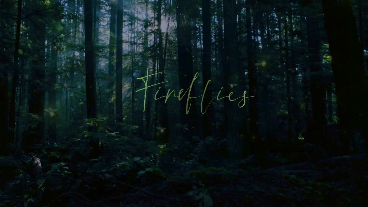 Wayne Tennant - Fireflies (Official Video)