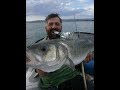 Ψαρεμα στην Χαλκιδα  Seabass spinninig fishing  Greece! minnkota rip tide i pilot!