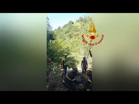 Video Mucca in gravidanza precipita in un dirupo: il salvataggio dei vigili del fuoco