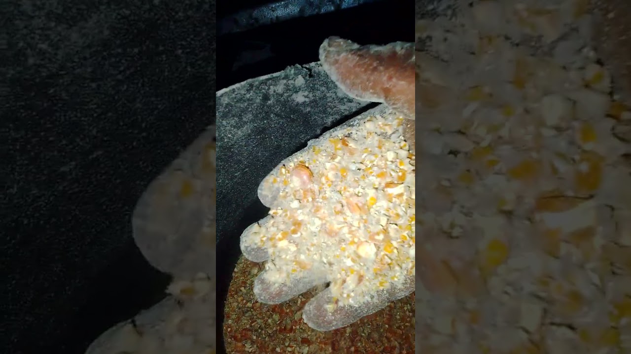 Segunda parte dela moledora de maíz casera