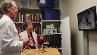 ObGyn Resident Education Program at the UA College of Medicine - Tucson