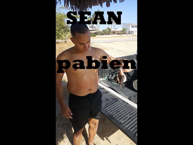 Mangel Halto 23rd of February 2019