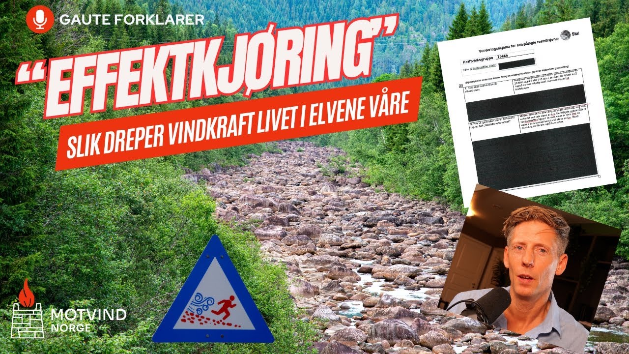Effektkjøring - slik dreper vindkraft livet i elvene våre - Gaute Grøtta Grav forklarer