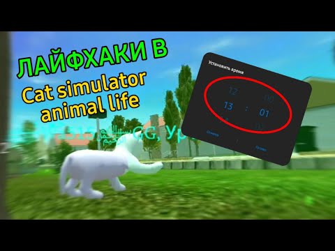 Cat simulator animal life 1.0 1.0. Wa515[gg]. Cat Simulator 2015 пасхалка. Читы на воздух в Кэт симулятор Энимал лайф. Cat Simulator animal Life.