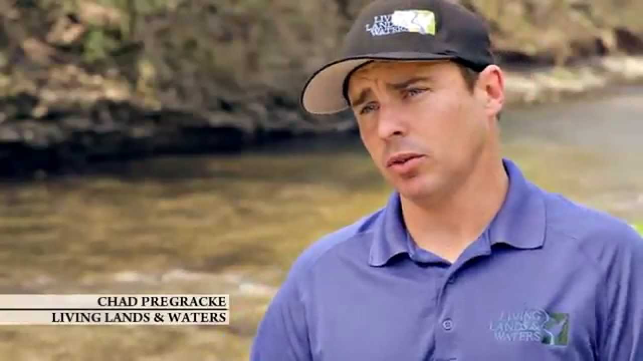 Quad Cities Video Production | Xstream Cleanup - Volunteers