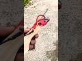 Craft idea #creativesurvival #handmade #crossbow