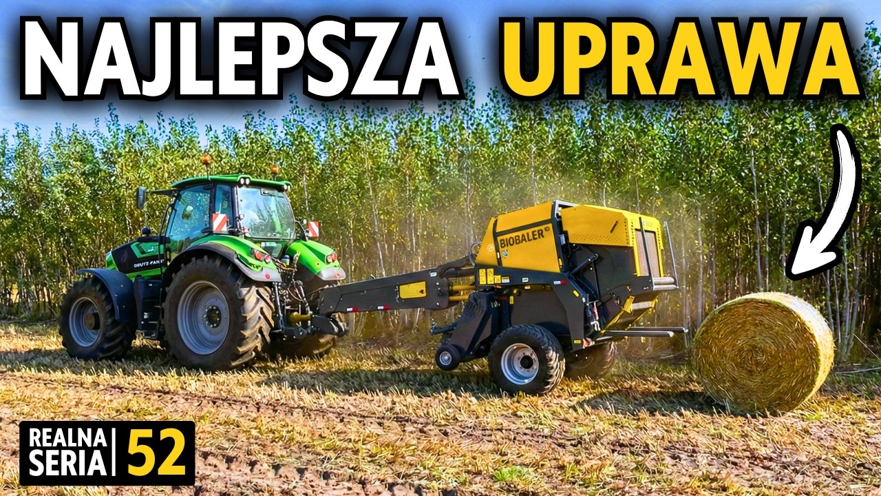 REALNIE ZBIERAM TOPOLĘ 🔥 Polanki #52