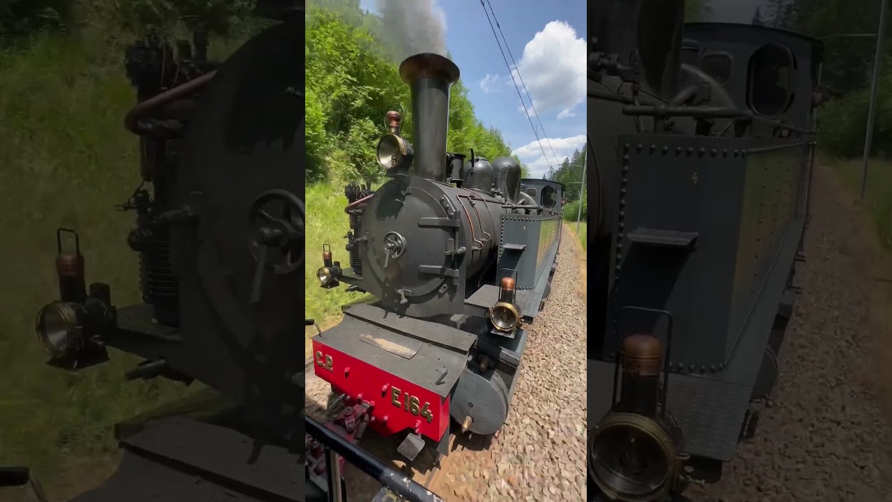 Switzerland Mountain Steam Train „La Traction“ 