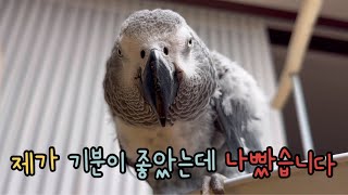 노래하다가 화가 난 / 냉탕과 온탕을 오가는 김루이 / 너무 웃겨욬ㅋㅋㅋㅋ