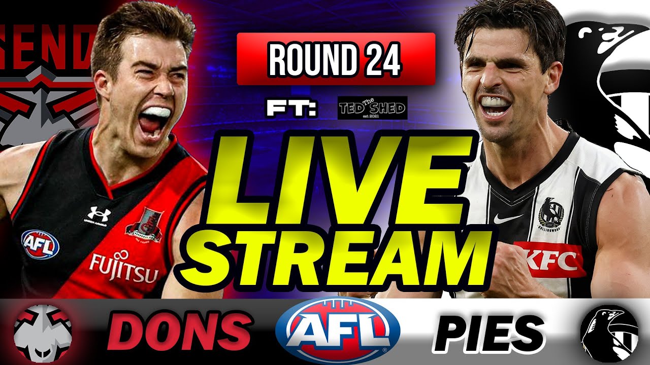 Afk Live Stream ESSENDON vs COLLINGWOOD | Round 24 AFL Live Stream @thecrouzzy - YouTube