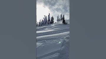 Skidoo crashes into tree