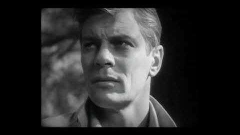 CATALOGUE - Parallel Lines (Official Video)