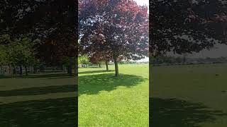 Dagenham park/London park #shorts #park #london #visit
