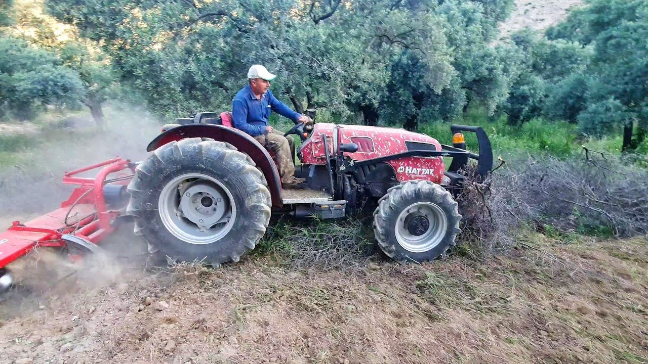 Tek Geçişte İki İş Birden  ( Hattat B 3080 )