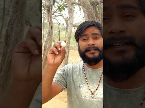 Bada Ka Doodh Banyan Milk Banyan Badkadudh Banyantreemilk Health Lifestyle Shortvideo Short