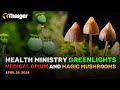 Thailand news april 25 health ministry greenlights medical opium and magic mushrooms