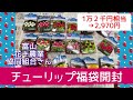 チューリップ福袋の中身 2,970円 ネタバレ【ガーデニング】2022年 年末福袋 富山花卉球根農業協同組合