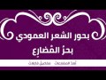 إيقاعات ونقرات بحور الشعر بحر المضارع 