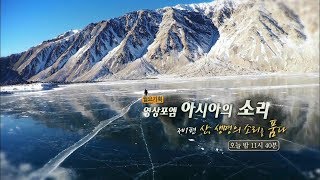 170724 월요기획 예고 ㅣ KBS방송