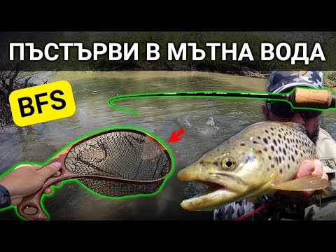 Видео: Как се лови речна пъстърва