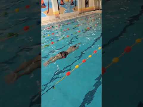 ترتیب شنا مختلط شنا تکنیک کرالسینه قورباغه کرالپشت پروانه استخر مربی 