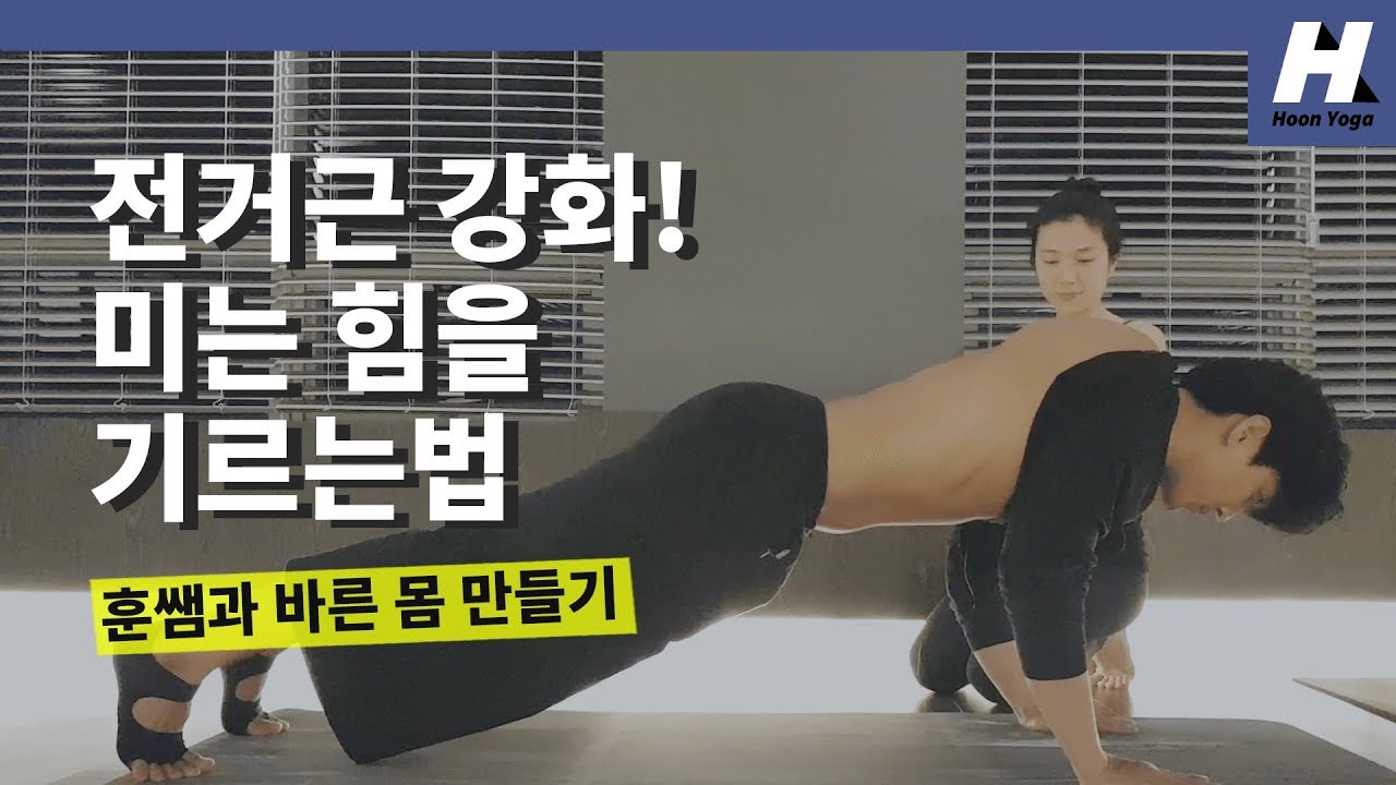 [요가에 관한 모든 것] - 견갑골(날개뼈)과 그 주위의 근육(전거근)에 대해! - 아쉬탕가(Ashtanga yoga)