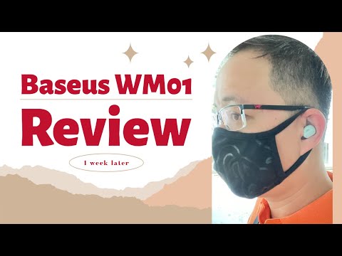 Baseus WM01 Full Review + Mic Test: A Budget heavyweight