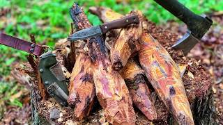 3 Day Survival Bushcraft - Day 3 | Bushcraft Gold ! @4directionsbushcraft